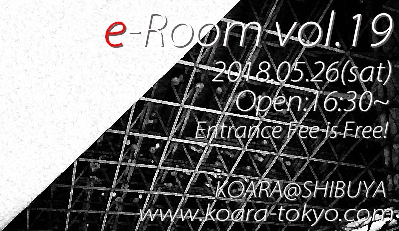 e-Room Vol.19 